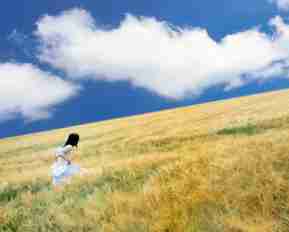 c语‌言​最​新‌编‌译‌器‌